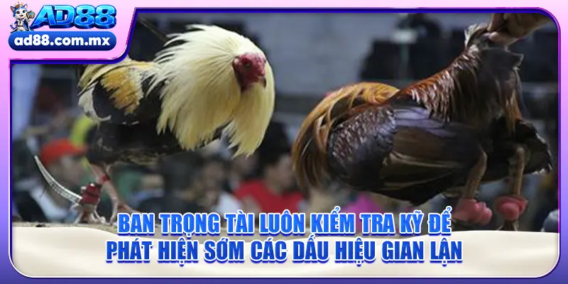 Ban trọng tài luôn kiểm tra kỹ để phát hiện sớm các dấu hiệu gian lận