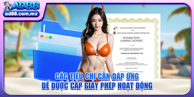 Các tiêu chí cần đáp ứng để được cấp giấy phép hoạt động