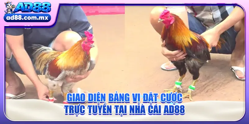 Giao diện bảng vị đặt cược trực tuyến tại nhà cái AD88