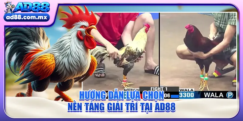Hướng dẫn lựa chọn nền tảng giải trí tại AD88