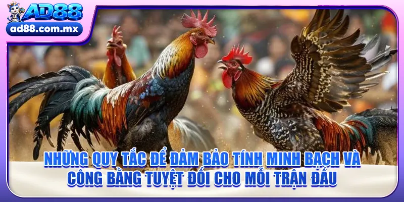 Những quy tắc để đảm bảo tính minh bạch và công bằng tuyệt đối cho mỗi trận đấu