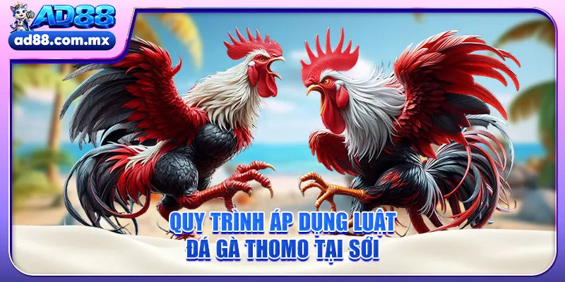 Quy trình áp dụng luật đá gà Thomo tại sới